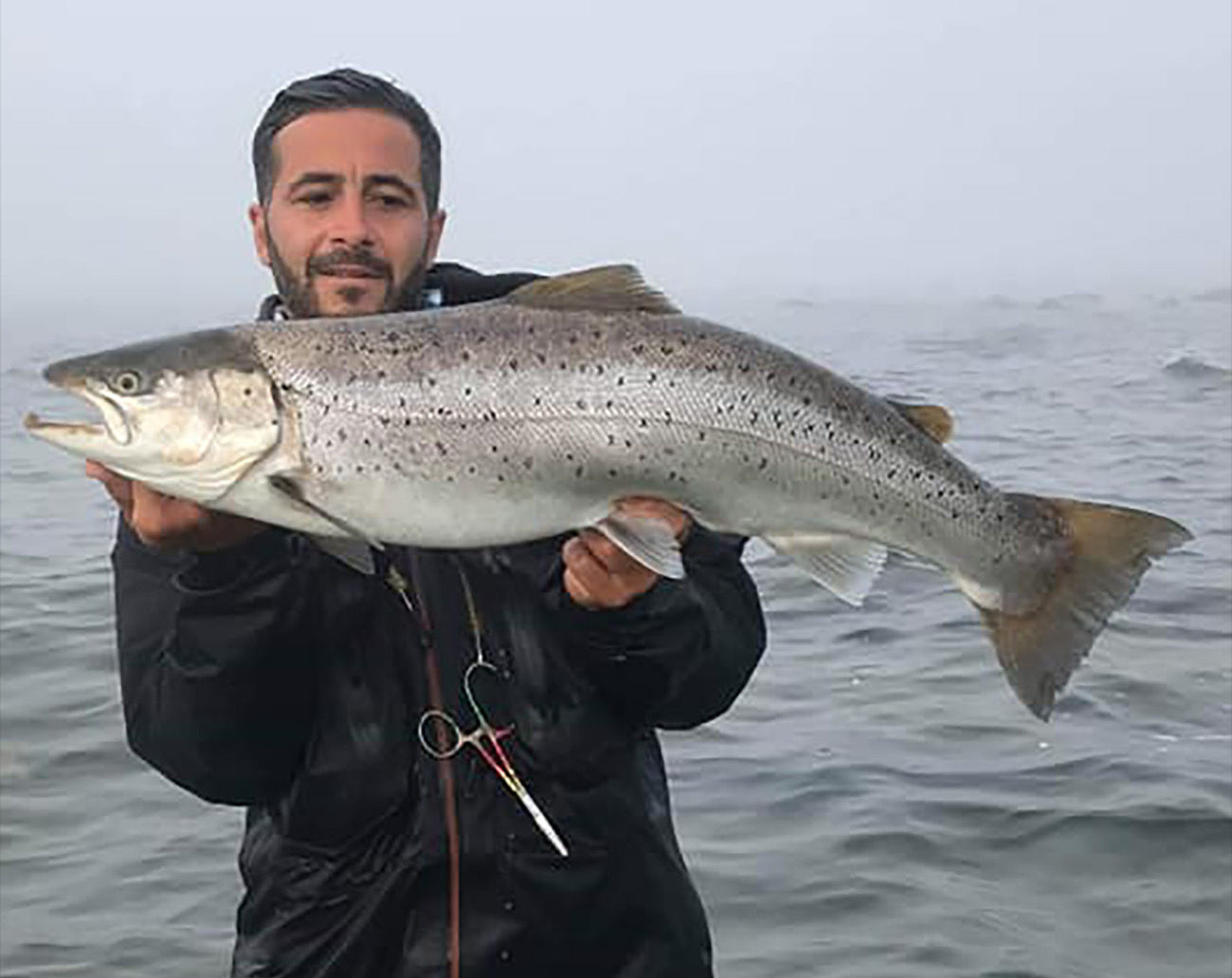 OGP Twister Coast 16,5 gr- Presentpack